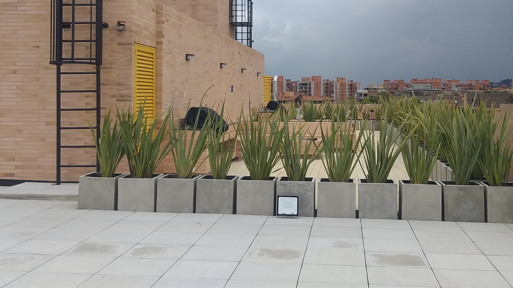 Plaquetas y Decks en Concreto Proyecto Albatross